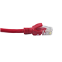 CAT6 UTP PATCH CORD 0.20 CM